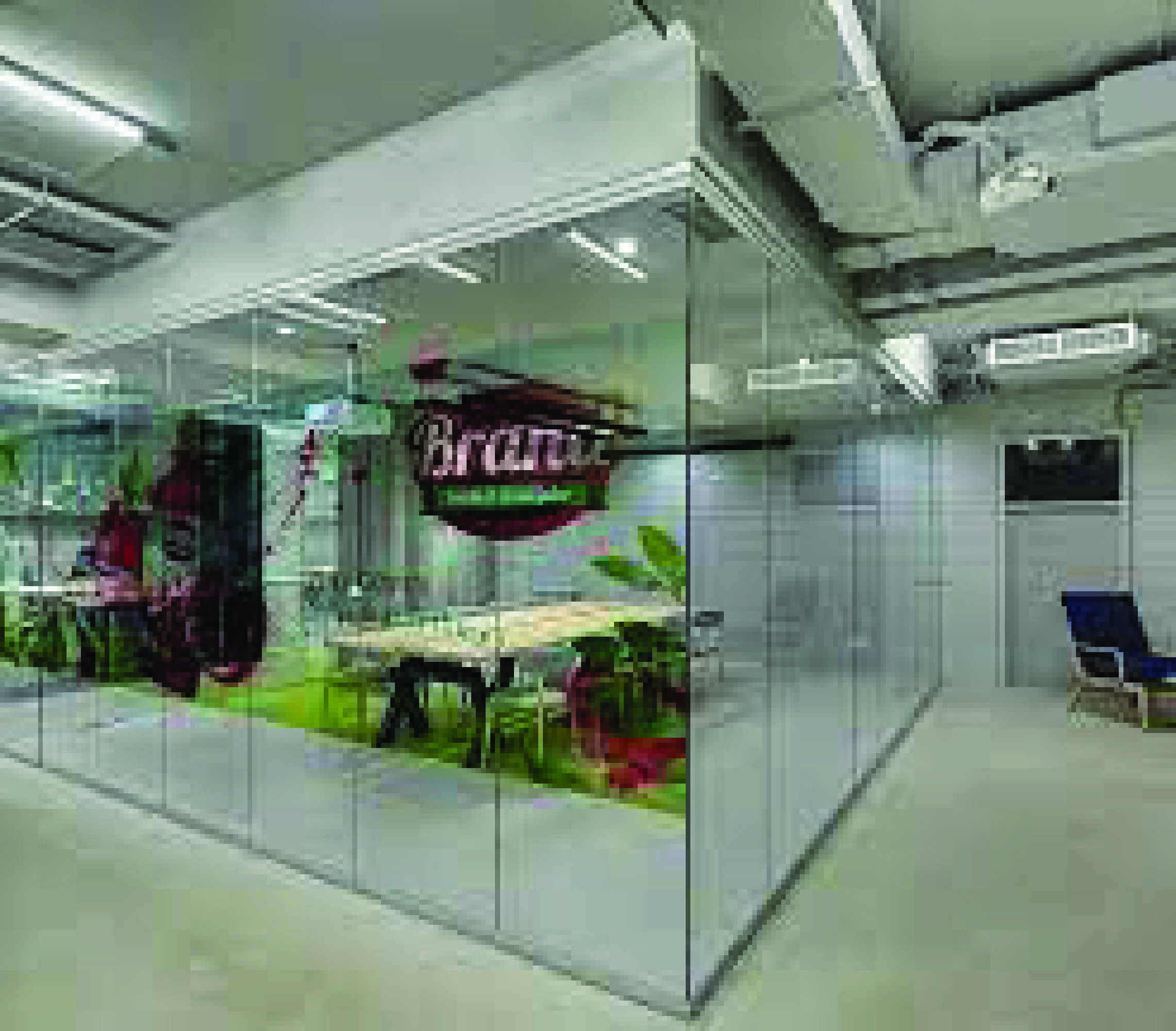Clear Film Print for Vibrant and Transparent Graphics